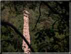 foto Piramidi di terra di Segonzano